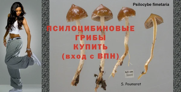 spice Алзамай
