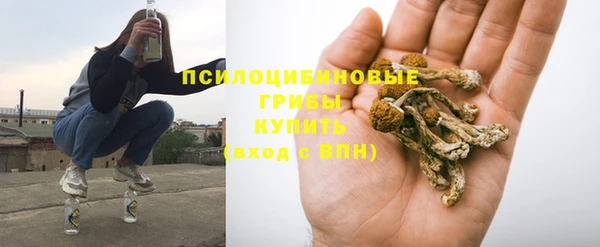 ECSTASY Алексин