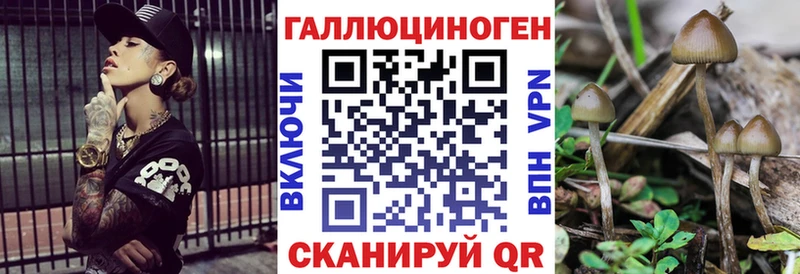 сколько стоит  Игра  это состав  Псилоцибиновые грибы мицелий 